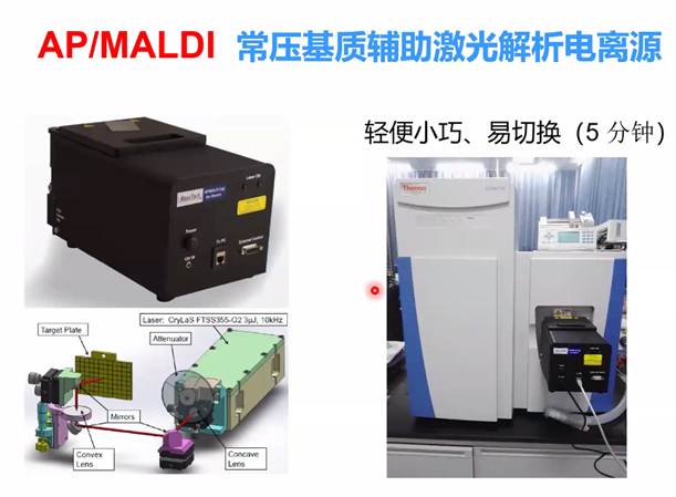 1581665610886983.jpg apmald.jpg