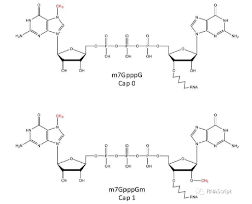 1636686326991217.jpg WX20211109-141906.jpg