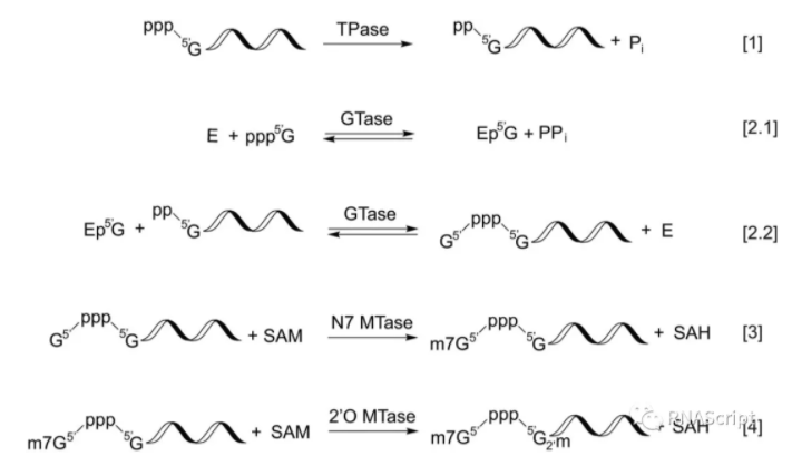 1636686332312990.jpg WX20211109-141915.jpg