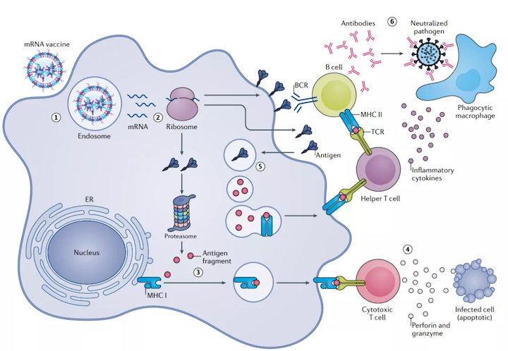 1637294563749864.jpg w1_副本.jpg
