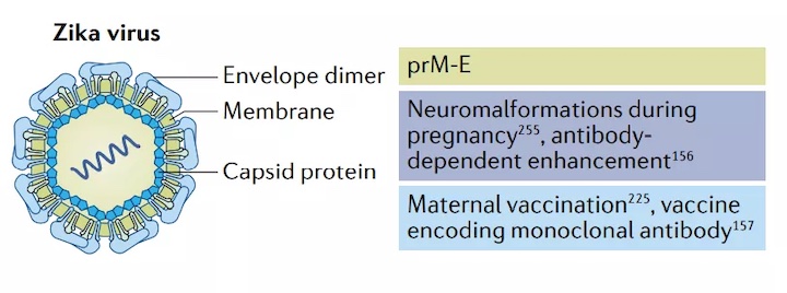 1637294588294178.jpg w5_副本.jpg