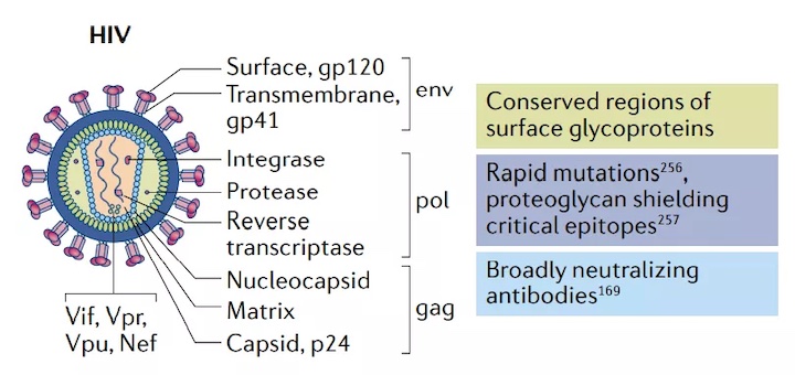 1637294596690501.jpg w6_副本.jpg