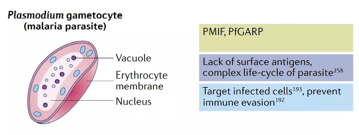 1637294615360539.jpg w10_副本.jpg