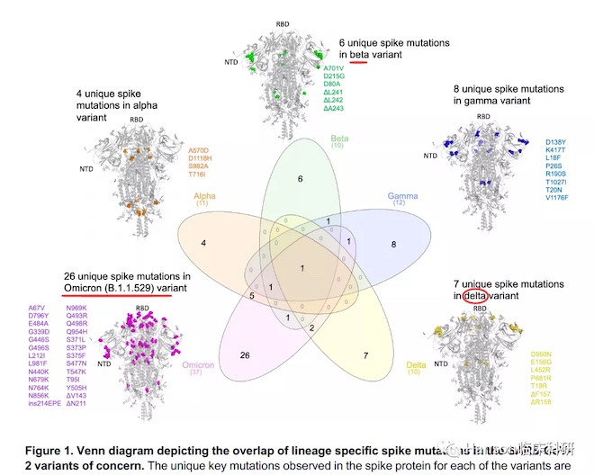 1638852899779301.jpg t4_副本.jpg