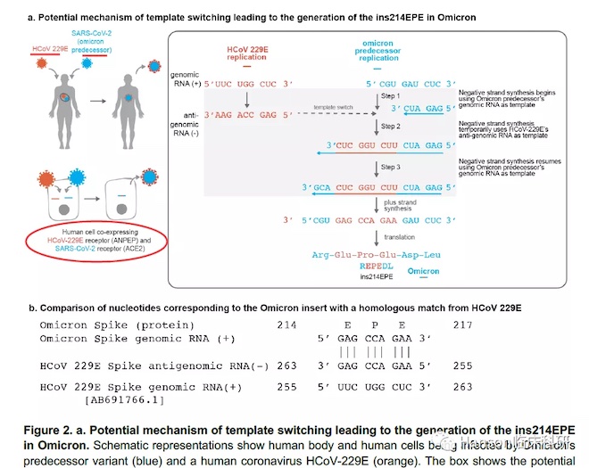 1638852906833398.jpg t5_副本.jpg