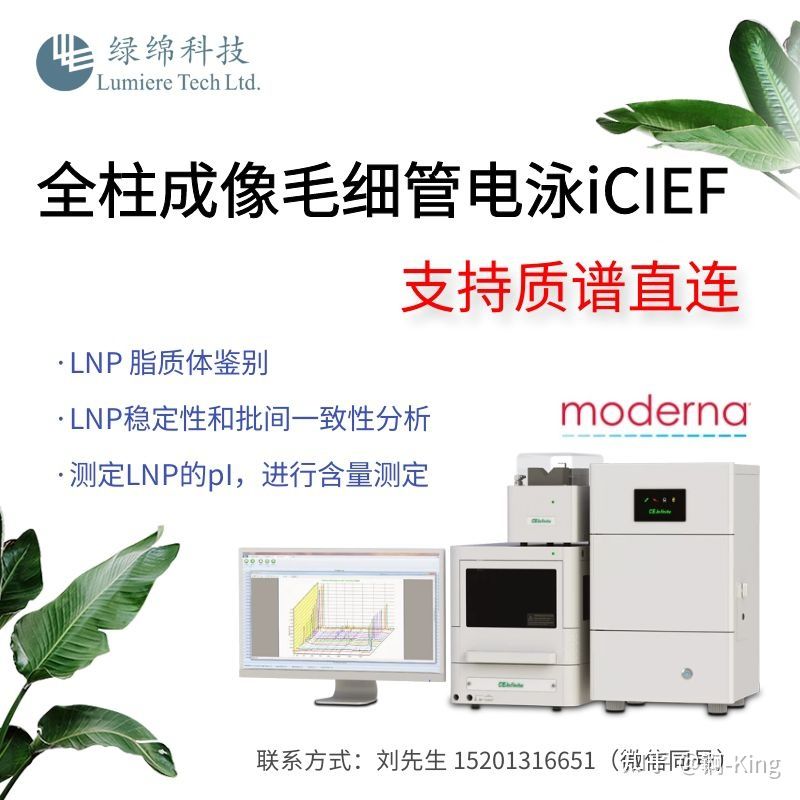 1642664242688341.jpg 綠綿2.jpg