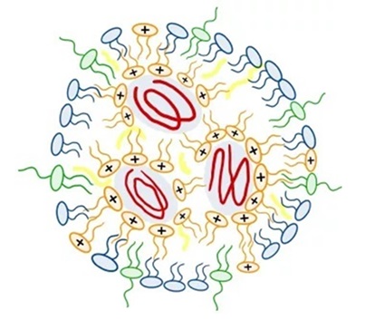 1647832572306097.jpg 圖2.jpg