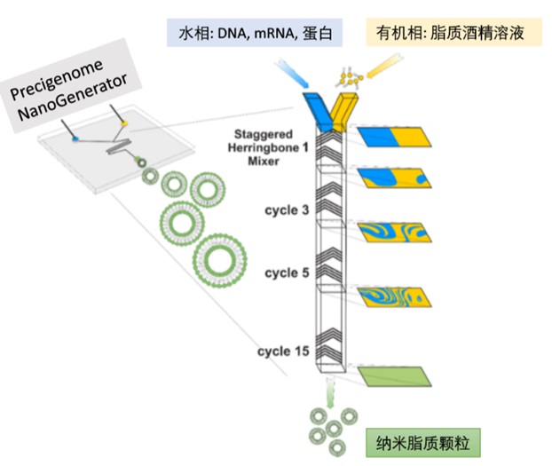 1647832639571218.jpg 圖4-兩相.jpg