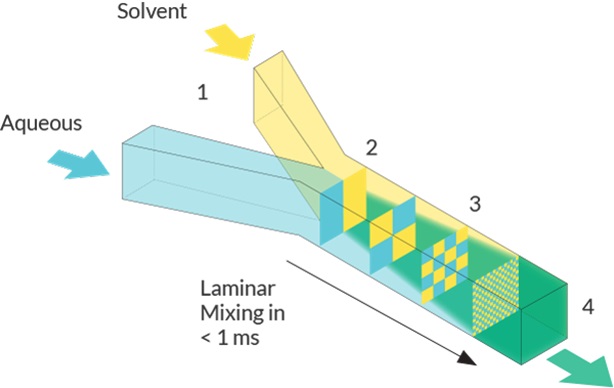1647832643202659.jpg 圖5-混合.jpg