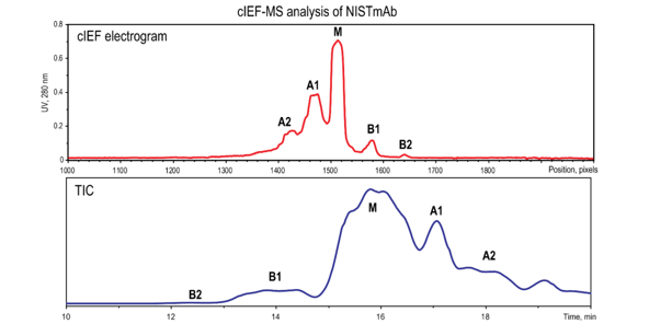 tech-03-cIEF-MSanalysisofNISTmAb.png
