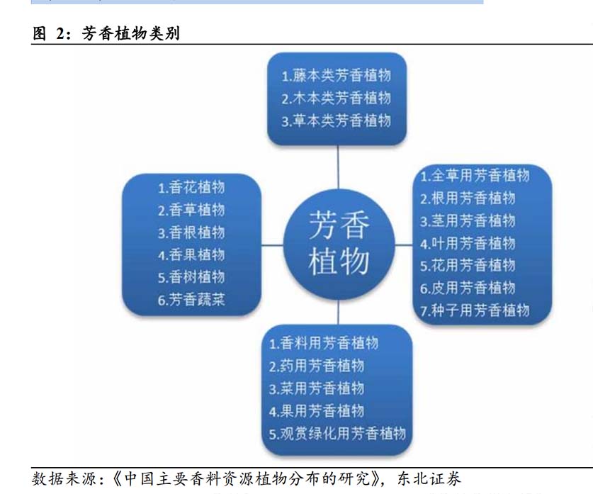 1721715175856879.jpg x4.jpg