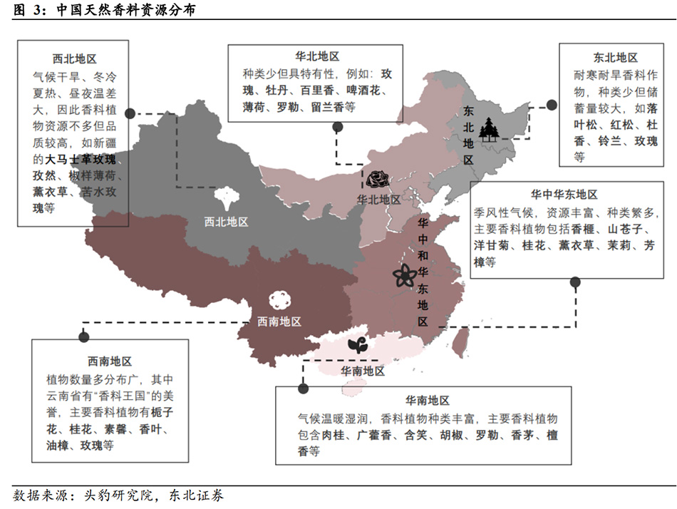 1721715342187537.jpg x5.jpg