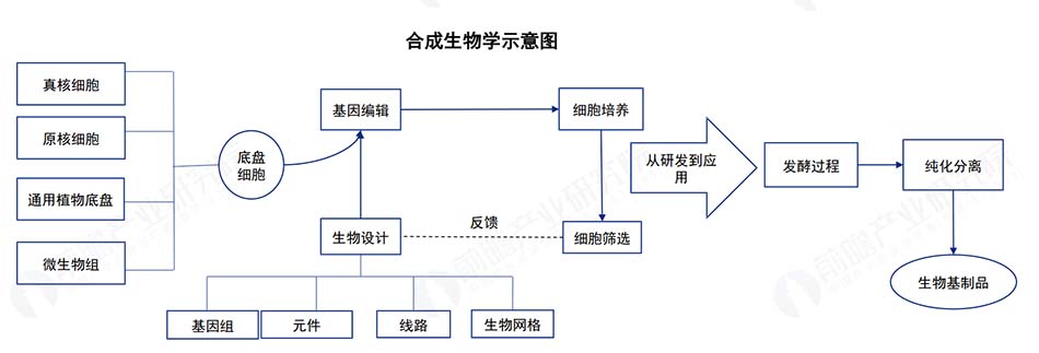 1722315723264127.jpg hecheng1.jpg