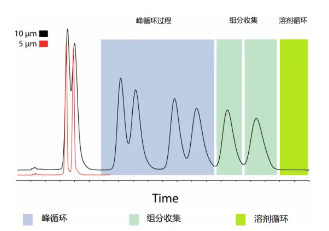 1726726828621500.jpg 22.jpg