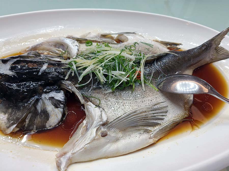 1739240518547266.jpg 0211-07.jpg